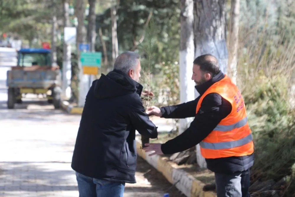 Elazığ Belediyesi'nden vatandaşlara ücretsiz fidan desteği