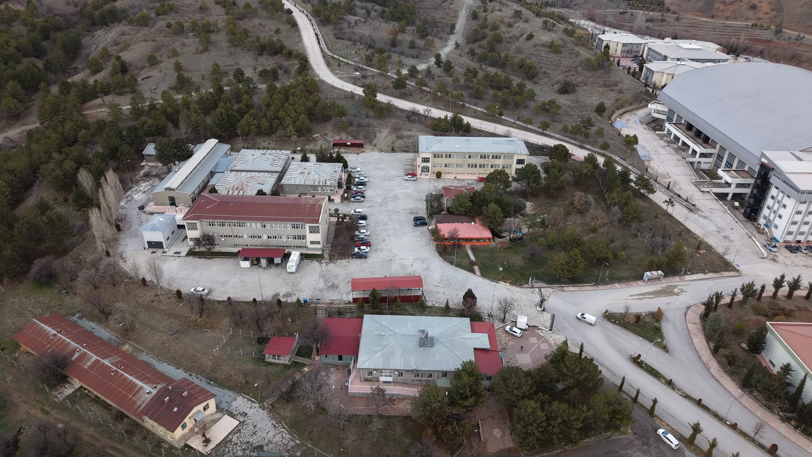 Doğu Anadolu'nun Şifa Merkezi Fü Hayvan Hastanesi: Bir Yılda 9.600 Can Dostunu Hayata Bağladı!